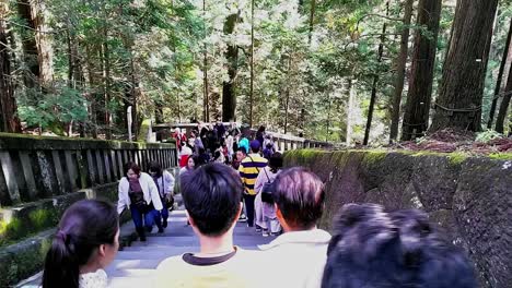 Blick-Auf-Die-Menschenmenge,-Die-Moosige-Steintreppen-Im-Tempelbereich-Von-Nikko-Hinunterläuft