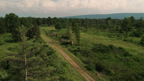 Dirt-road-leading-into-wooded-area-from-field,-Aerial,-Pan-Left,-Slow-Motion