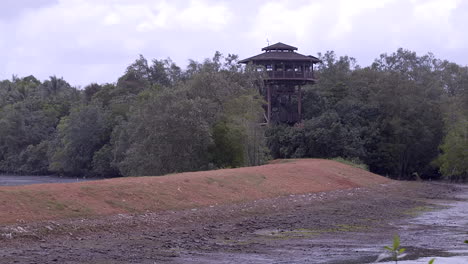 A-wooden-observation-tower-in-Sungei-Buloh-Wetland-Reserve-where-wildlife-rangers-and-caretakers-can-observe-the-various-species-of-animals-living-in-the-reservation---Wide-shot