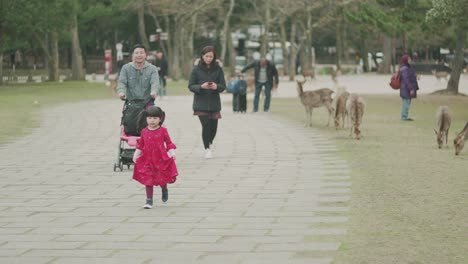 Nahaufnahme-Eines-Glücklichen-Mädchens-Mit-Ihrer-Familie-Im-Nara-Park,-Nara,-Japan-–-Slowmo