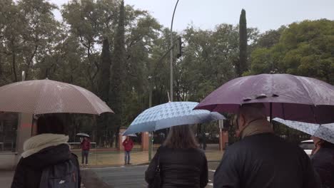 People-wait-to-cross-street-with-umbrellas-on-rainy-day,-Slowmo-Behind