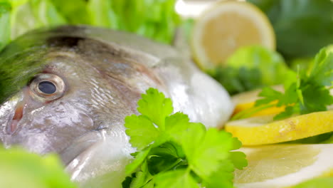 Roher-Brassenfisch-In-Zitrone,-Petersilie-Und-Salat