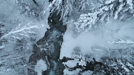 4K-Drohnenaufnahme---Eisiger-Fluss,-Der-Durch-Einen-Verschneiten-Wald-In-Den-österreichischen-Alpen-Fließt