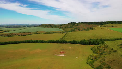 Aerial-tracking-shot-of-green-fields,-on-a-sunny-day