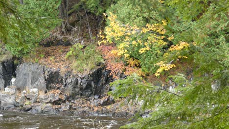 Wassertropfen-Fallen-Schwarze,-Dramatische-Steinklippen-Hinunter-Und-Fallen-In-Den-Fluss