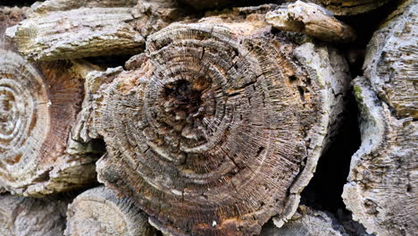Close-up-of-pile-chopped-wood