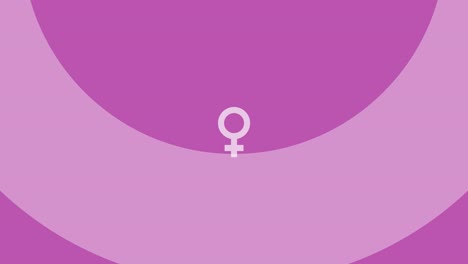 Sex-gender-female-sign-on-a-pink-background-animation-vector