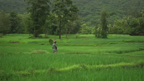 Weitwinkelaufnahme-Eines-Indischen-Reisfeldbauers,-Der-In-Zeitlupe-Harnstoff-Wirft