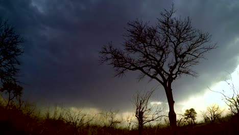 A-steady-slow-motion-clip-of-a-large-thunderstorm-and-lighting-moving-across-the-Savanna-of-South-Africa