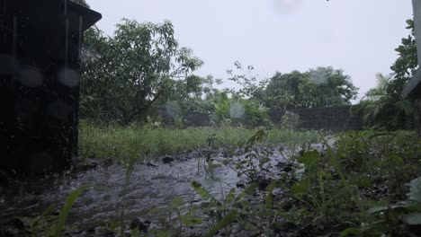 Starker-Monsunregen-Ergießt-Sich-In-Eine-Kleine-Pfütze-Im-Garten