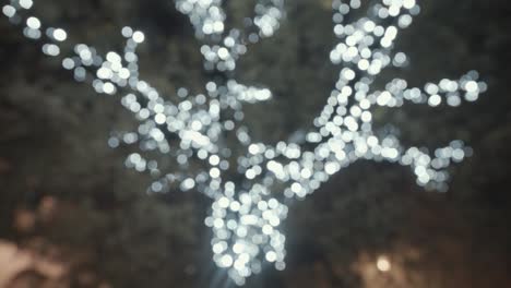 Baum-Geschmückt-Mit-Weihnachtsbeleuchtung,-Rack-Fokus-Bokeh