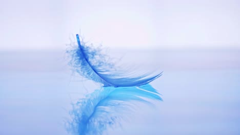 The-bird's-feather-fell-on-the-water-surface-Lightness-and-tenderness-of-the-fall-with-slow-motion-sense