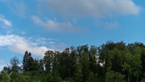 Timelapse-of-moving-white-clouds-over-green-trees-while-the-half-moon-is-rising-up-at-the-early-evening-from-left-to-the-right