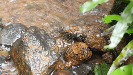 Das-Wasser-Eines-Dschungelbaches-Rieselt-Durch-Die-Felsen,-Während-Der-Regen-In-Einem-Unberührten-Dschungellebensraum-In-Indien-Fällt,-In-Dem-Farne-Wachsen