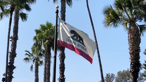 Der-Stern-Und-Das-Bärenemblem-Der-Kalifornischen-Staatsflagge-Wehen-In-Zeitlupe-Vor-Dem-Hintergrund-Des-Blauen-Himmels-Mit-Palmen