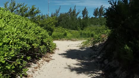 Strandähnliche-Pfade,-Die-Mit-Den-Stränden-Der-Südküste-Von-Bermuda-Verbunden-Sind