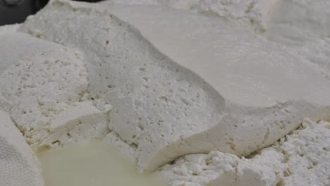 Cottage-cheese,-curd-mass-manufacturing,-dairy-product-making,-food-processing