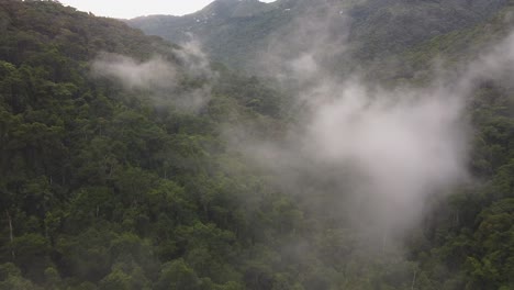 Drohne-Fliegt-über-Einen-Bergwald-Mit-Niedrigem-Nebel
