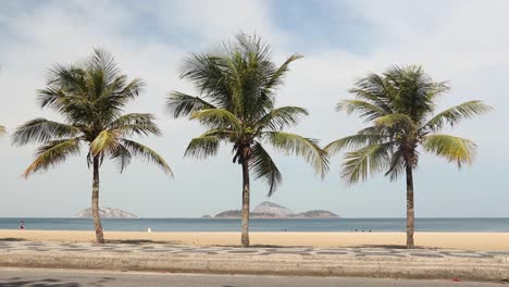 Palm-trees-along-Ipanema-beach-with-people-with-and-without-face-masks-running,-jogging,-biking,-walking,-cycling-and-on-skateboard-passing-during-COVID-19-coronavirus-outbreak