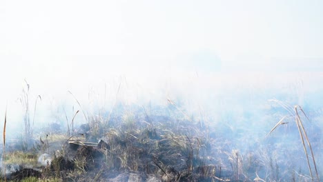 Burned-farm-pasture-covered-in-ashes-and-smoke,-wide-shot