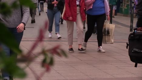 Out-of-focus-plant-with-people-walking-by-on-a-busy-street-in-Ireland-after-lockdown