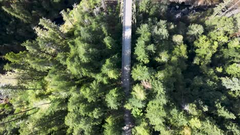 Looking-down-passing-over-an-abandoned-steel-truss-bridge-in-the-middle-of-a-dense-forest,-aerial