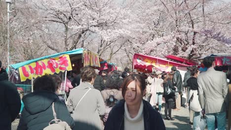 Food-Stalls-With-Tourists-Waking-And-Enjoying-The-Season-Of-Sakura-Cherry-Blossoms-In-Kyoto,-Japan