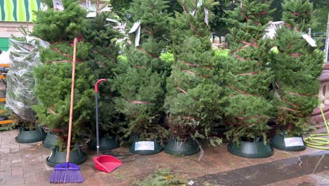 A-red-dustpan-and-a-purple-broom-lay-on-a-row-of-Christmas-pine-trees-for-home-decoration-are-seen-for-sale-in-Hong-Kong