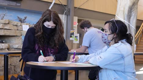 Studentenwähler-Registrieren-Sich,-Um-Während-Der-Pandemie-Für-Die-Wahl-Zu-Stimmen