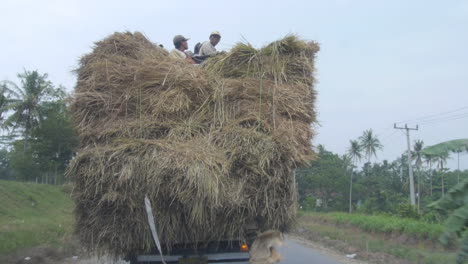 Un-Camión-Con-Una-Pesada-Carga-De-Pajar-Y-Hombres-Encima-Conduce-Por-Una-Carretera-En-Indonesia