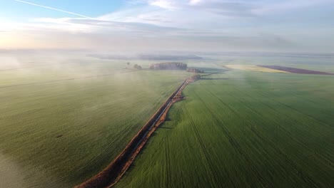 Flug-über-Schöne-Und-Grüne-Landwirtschaftliche-Felder-In-Richtung-Wald-Am-Frühen-Morgen-Mit-Hohem-Nebel