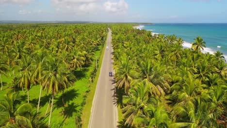 Majestic-shot-at-the-entrance-of-Nagua,-Maria-Trinidad-SÃ¡nchez-Province,-with-a-view-of-the-coconut-trees,-beautiful-beach-next-to-it,-cars-passing-in-the-street,-beautiful-journey