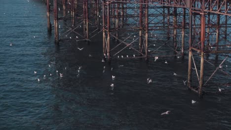 Seagulls-next-to-pier-in-Slow-Motion