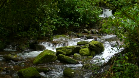 Water-quickly-rushes-down-a-river-from-small-waterfalls-up-stream-flowing-over-and-around-moss-covered-rocks-in-a-beautiful-green-scene