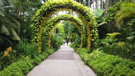 People-walking-on-pathways-in-the-garden-with-lush-greenery-during-covid-19-in-Singapore