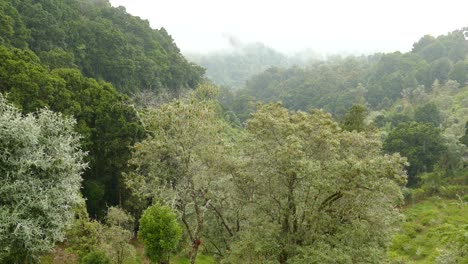 Beautiful-foggy-forested-valley-surrounded-by-the-hills-of-the-Costa-Rica-rainforest