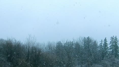 Landscape-during-snow-storm.-Static