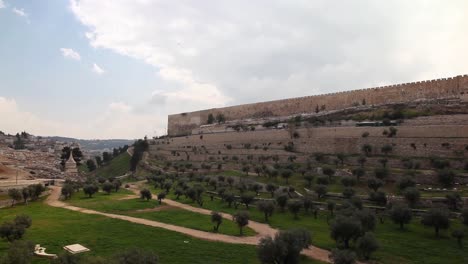 Jerusalem-Alte-Stadtmauer-Und-Olivenhain
