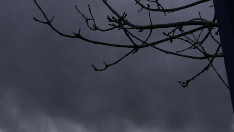 Zeitraffer-Dunkler-Sturmwolken,-Die-Im-Winter-An-Einem-Baum-Vorbeiziehen