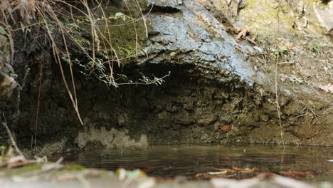 Cueva-Natural-Con-Agua-De-Manantial-Goteando-Procedente-Del-Derretimiento-De-La-Nieve-En-Las-Montañas-En-La-Soleada-Primavera-En-Cámara-Lenta