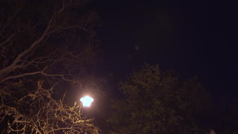 Street-lantern-shining-by-an-empty-park-path-at-night,Prague,Czechia,lockdown