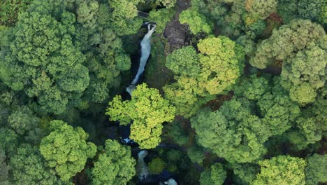 aerial-drone-shot-looking-down-at-Aira-force-falls-waterfalls-located-near-Ullswater-in-the-Lake-District