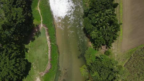 Aerial-drone-video-looking-down-at-a-crystal-clear-crocodile-infested-creek-with-lush-tropical-vegetation-along-the-river-bed