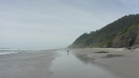 Wide-tracking-shot-of-person-walking-on-ocean-beach-with-dog