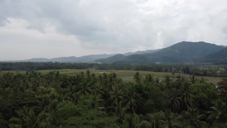 Aerial-view-of-the-rice-fields-and-mountains-in-Yogyakarta,-Indonesia