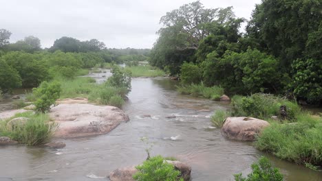 Ethereal,-peaceful,-misty-river-scene-in-Kruger-National-Park,-Africa