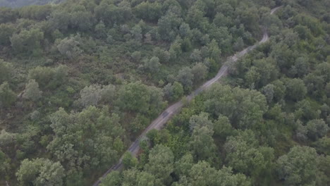Path-in-the-forest-aerial-view