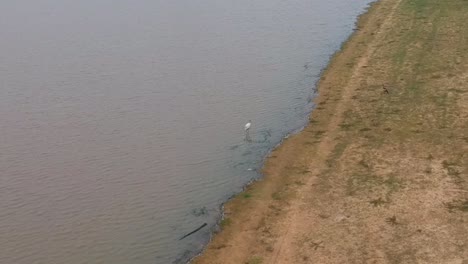 Igrit-Vogelfütterung-Im-Wasser