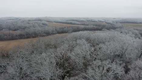Aerial-flying-over-frosted-trees-in-wintery-farmland