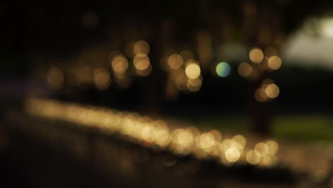 Unscharf-Kleiner-Garten-Beleuchtet-Bokeh-Hintergrund-Exemplar-Nacht
